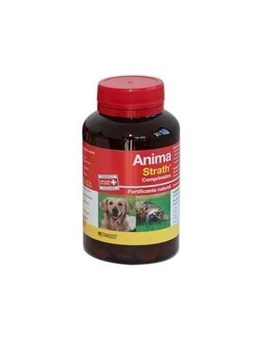 Anima Strath Perros Y Gatos 240Comp. de Stangest Vet