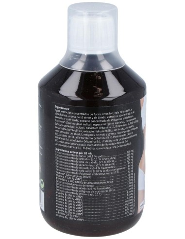 Slank Water Top Action Gold 500Ml. de Espadiet