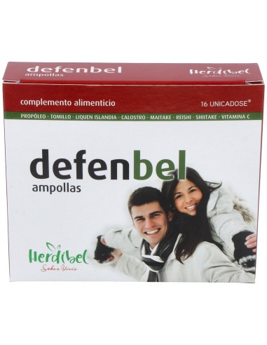 Defenbel 16Amp. de Herdibel