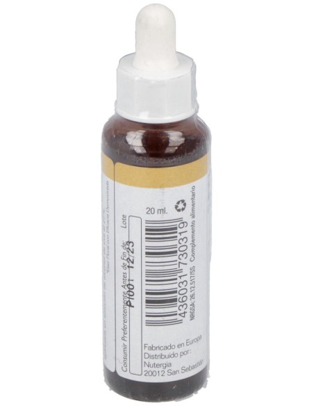 Pine 20Ml. de Elidyn