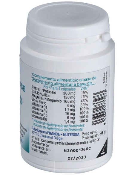 Ergybase 60Cap. de Nutergia