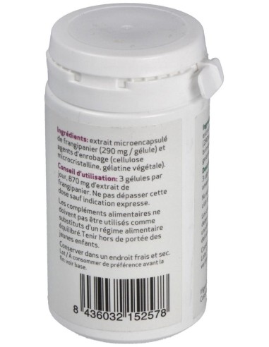 Pp40 90Cap. de Ifigen