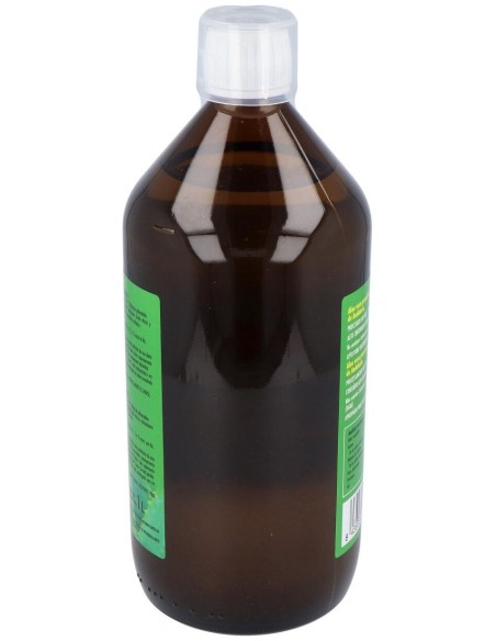 Jugo Aloe Vera 1L. Eco. de Waydiet Natural Products