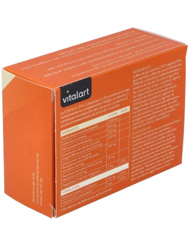 Vitalart Articular 60 Comp. de Vitalart