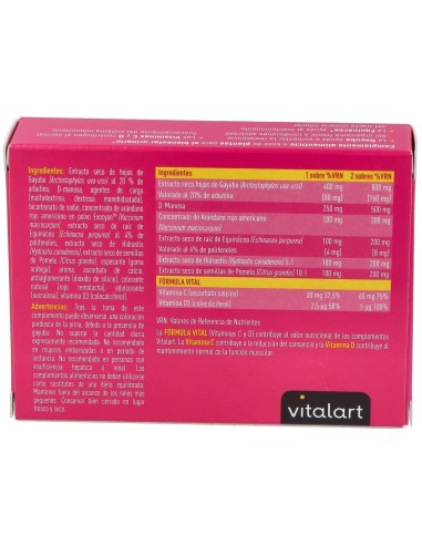 Vitalart Bienestar Urinario 10 Sobres de Vitalart