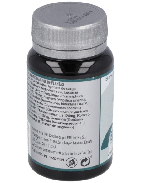 Izar 17 60Comp. de Erlingen