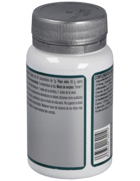 Base 2 60Comp. de Erlingen