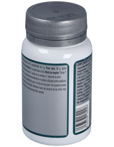 Base 2E 60Comp. de Erlingen