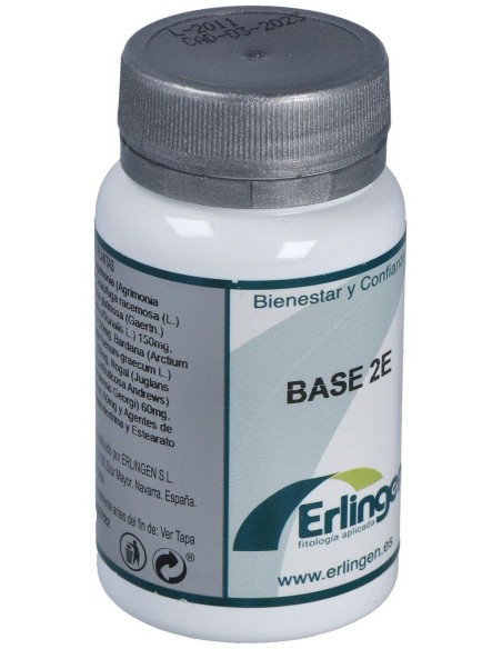 Base 2E 60Comp. de Erlingen