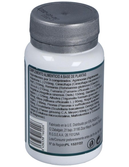 Base 2E 60Comp. de Erlingen