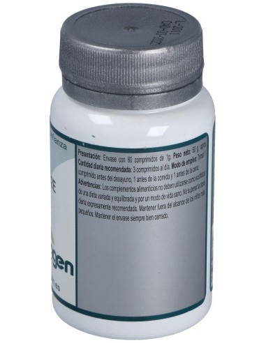 Base 2E 60Comp. de Erlingen