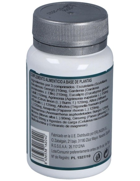 Base 2P 60Comp. de Erlingen