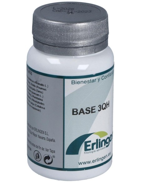 Base 3Qh 60Comp. de Erlingen