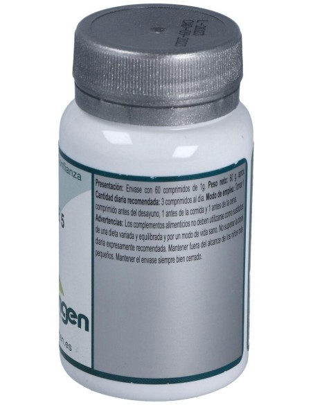 Base 5 60Comp. de Erlingen