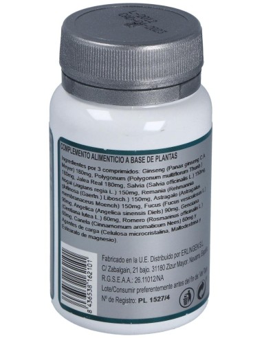 Base 6 60Comp. de Erlingen