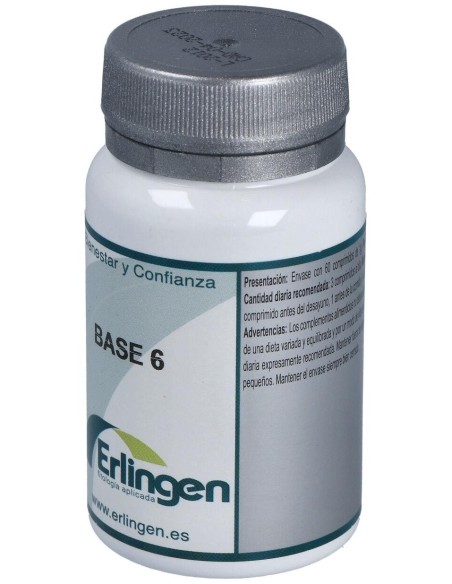Base 6 60Comp. de Erlingen