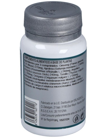 Base 7 60Comp. de Erlingen