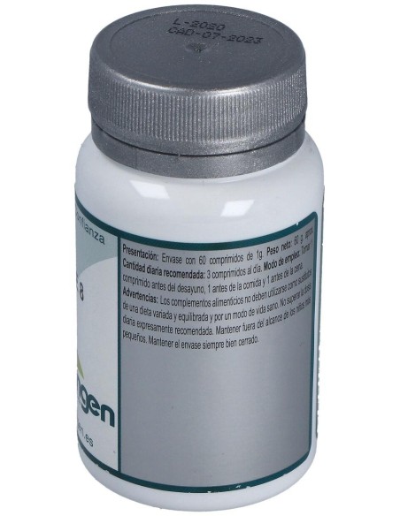 Base 8 60Comp. de Erlingen