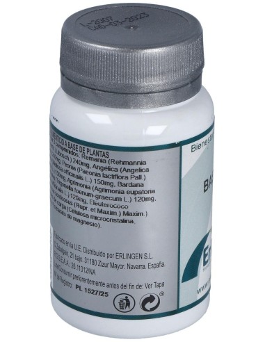 Base 9 60Comp. de Erlingen