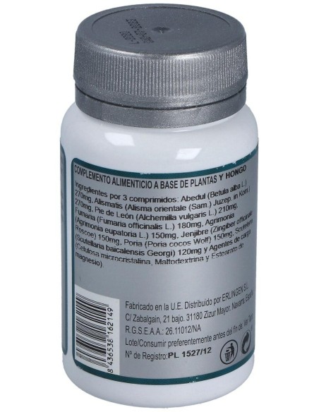 Base 10 60Comp. de Erlingen