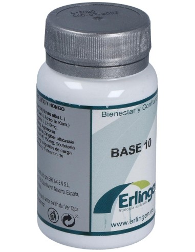 Base 10 60Comp. de Erlingen