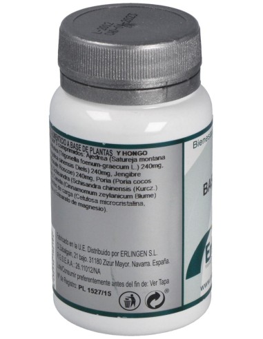 Base 17 60Comp. de Erlingen