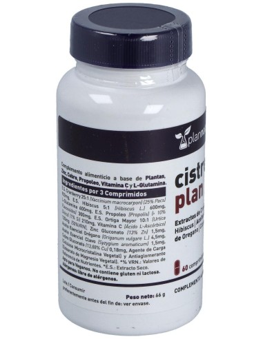 Cistreatplan 60Comp. de Plannatur