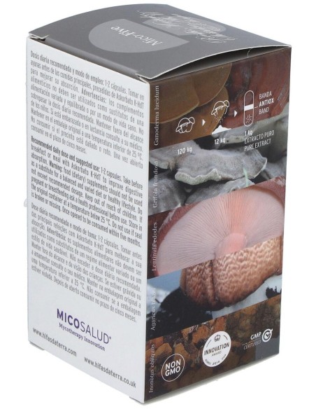 Mico Five Con Chaga Hdt 70Cap. de Hifas Da Terra - Hdt