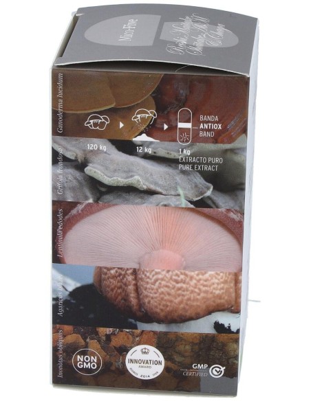 Mico Five Con Chaga Hdt 70Cap. de Hifas Da Terra - Hdt