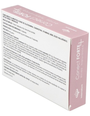 Conect Forte 60Cap. de Internature