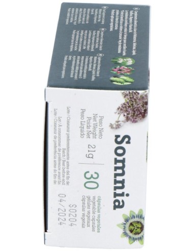 Somnia 30Cap. de Betula