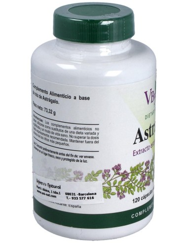 Astragalus Ext. Raiz 120Cap. de Vbyotics