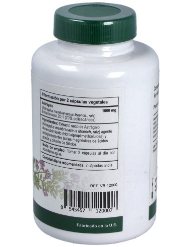 Astragalus Ext. Raiz 120Cap. de Vbyotics