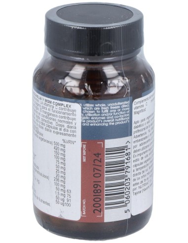 Glucosamina,Boswelia Y Msm Complex 50Vcap. de Terranova