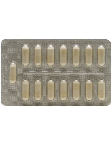 Lactibiane Tolerance 30Cap. de Pileje