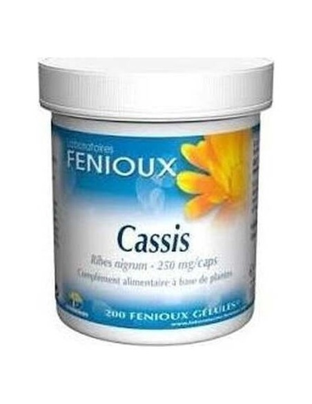 Grosellero Negro (Cassis) 200Cap. de Fenioux