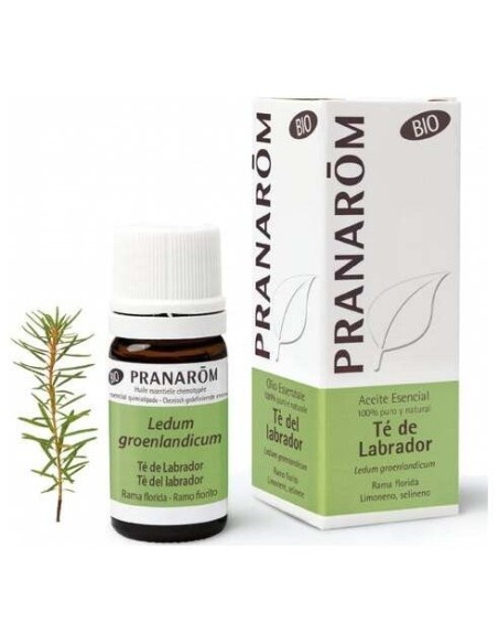 Te Del Labrador Aceite Esencial Bio 5Ml. de Pranarom Aceites