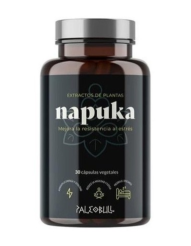 Napuka 30Cap. de Paleobull