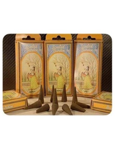 Incienso Stick Abrecamino 12Uds. Scented Garden de Radhe Shyam