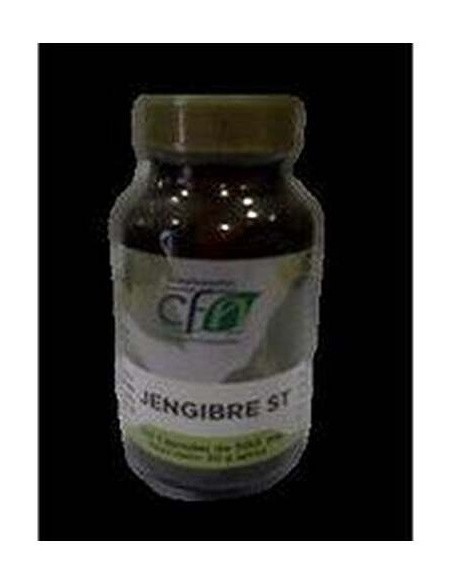 Jengibre St. 60Cap. de Cfn