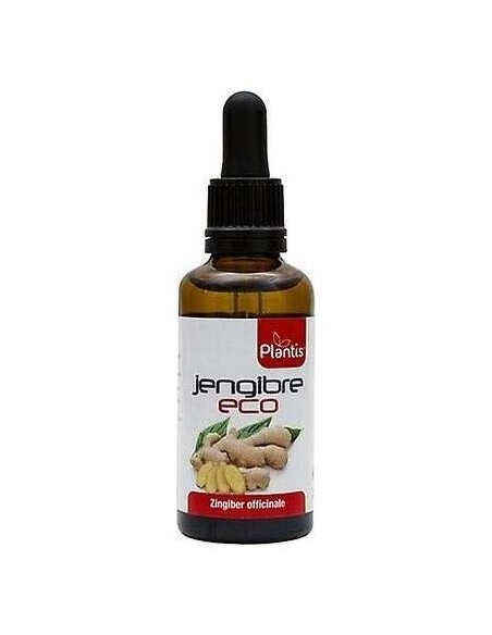 Extr Jengibre Eco Plantis 50Ml de Artesania