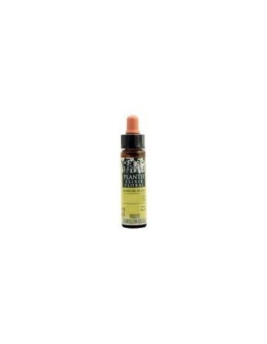 Alerce-19  Eco Plantis 10 Ml de Artesania