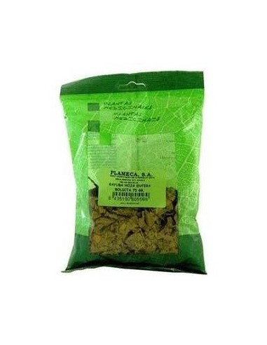 Gayuba Hoja Entera Bolsa 75Gr. de Plameca