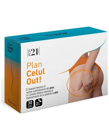 Plan Celul Out 30Cap. Plan 21 de Plameca
