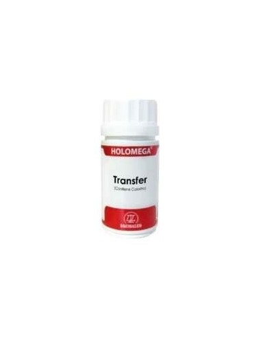Holomega Transfer 50Cap. de Equisalud
