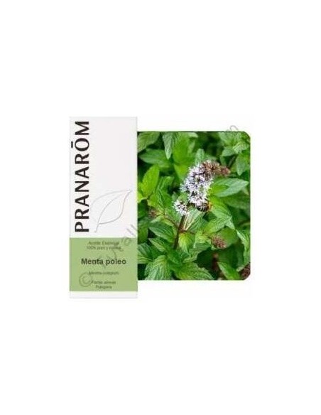 Menta Poleo Aceite Esencial Alimentario 10Ml. de Terpenic