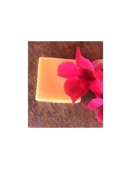 Acondicionador Solido Antifrizz 55Gr. de Nitx