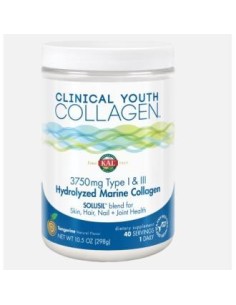 Clinical Collagen Type I-Iii 298Gr. de Solaray