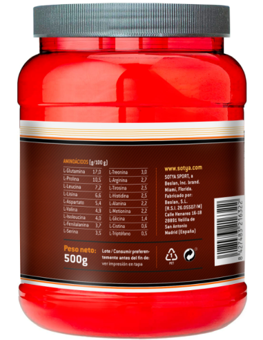 100% Whey Chocolate 500G Sotya