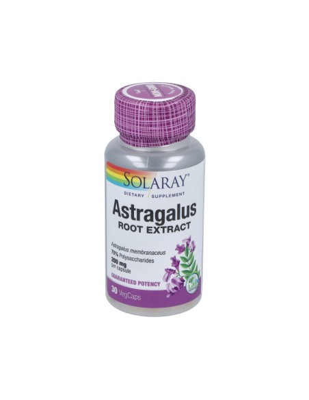 Extracto de Raíz de Astrágalo 200mg - 30 Cápsulas Veganas
